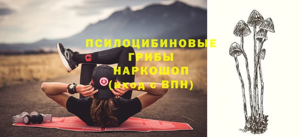 хмурый Алзамай