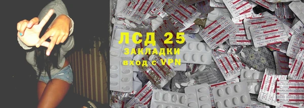 хмурый Алзамай